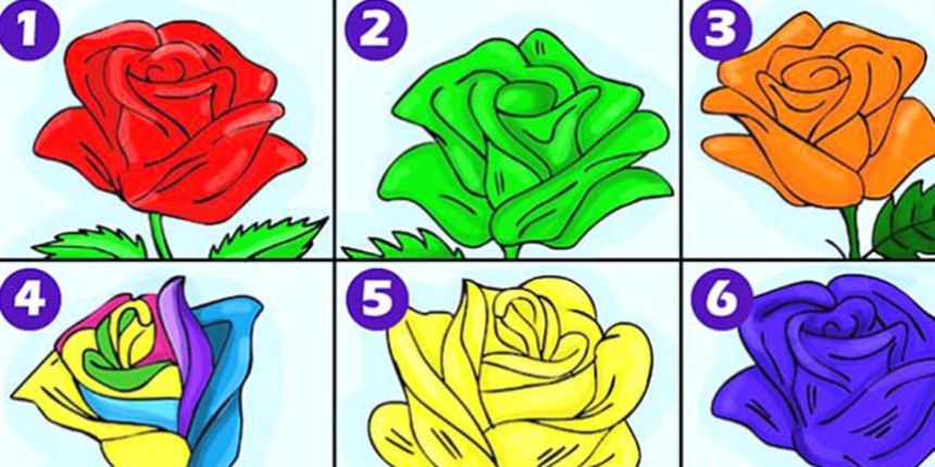 Šest ruža Šest ruža