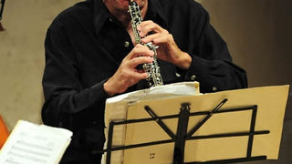 Glazbene večeri u sv. Donatu, praški barokni ansambl, foto: Nenad Marčev