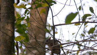 Izlet u NP Krka: Skradin, Skradinski buk, Visovac, foto: Darko Belančić