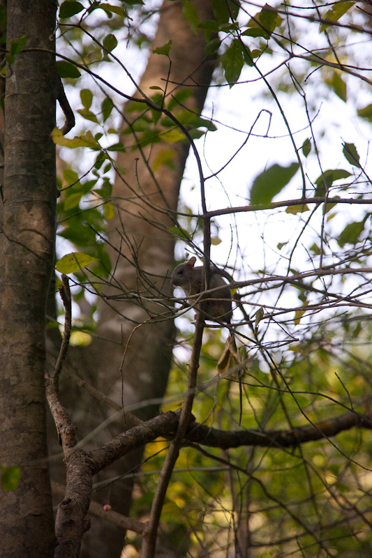 Izlet u NP Krka: Skradin, Skradinski buk, Visovac, foto: Darko Belančić