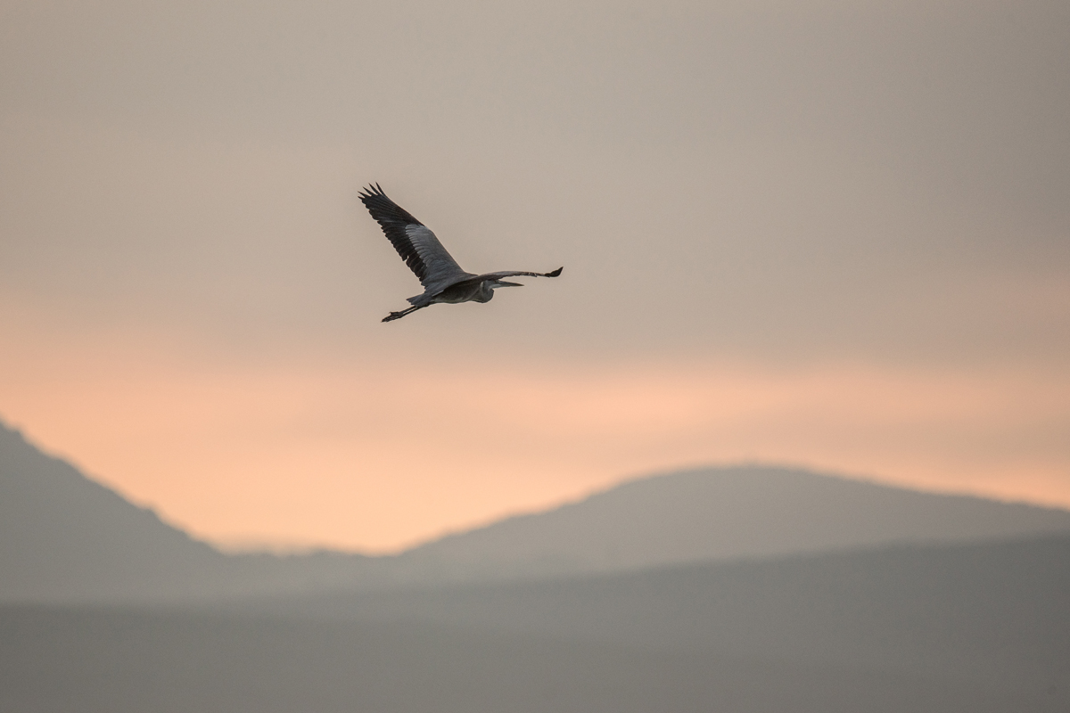 Čarobno jutro na Vranskom jezeru Čarobno jutro na Vranskom jezeru