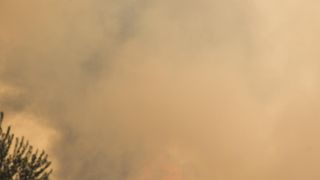 Veliki požar na Pelješcu