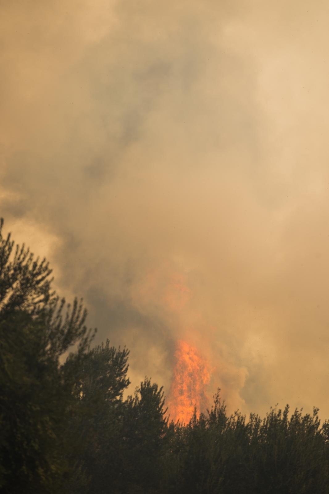Veliki požar na Pelješcu