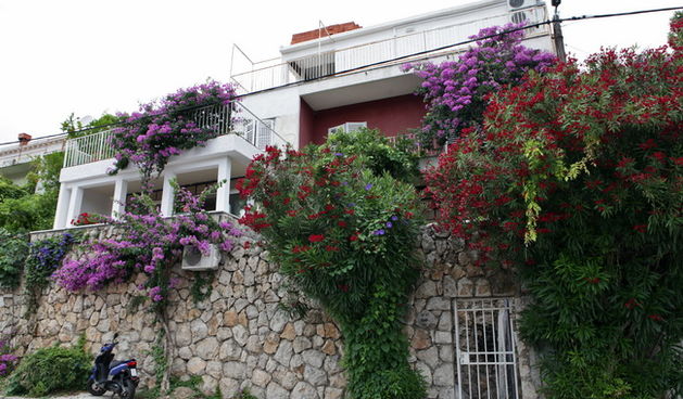 Dubrovnik, 220610. Kuca u Lapadu, na adresi Kardinala Stepinca 46, u kojoj je 36-godisnji dubrovcanin Mislav Dj. fizicki napao britansku goscu Emmu W. i nanio joj teske tjelesne ozljede, zbog kojih je zadobila potres mozga. Mislav Dj. uz kaznenu je prijav