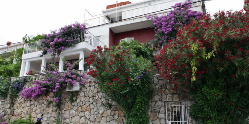 Dubrovnik, 220610. Kuca u Lapadu, na adresi Kardinala Stepinca 46, u kojoj je 36-godisnji dubrovcanin Mislav Dj. fizicki napao britansku goscu Emmu W. i nanio joj teske tjelesne ozljede, zbog kojih je zadobila potres mozga. Mislav Dj. uz kaznenu je prijav