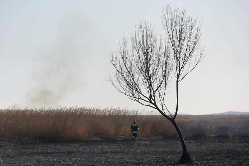 Požar u ornitološkom rezervatu Parka prirodeP Vransko jezero Požar u ornitološkom rezervatu Parka prirodeP Vransko jezero