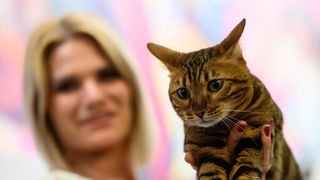 Međunarodna izložba mačaka održana u King Crossu