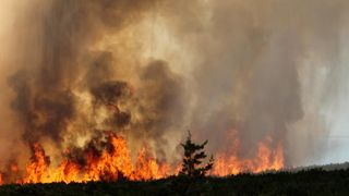 Lokaliziran požar kod Košljuna na otoku Pagu Lokaliziran požar kod Košljuna na otoku Pagu