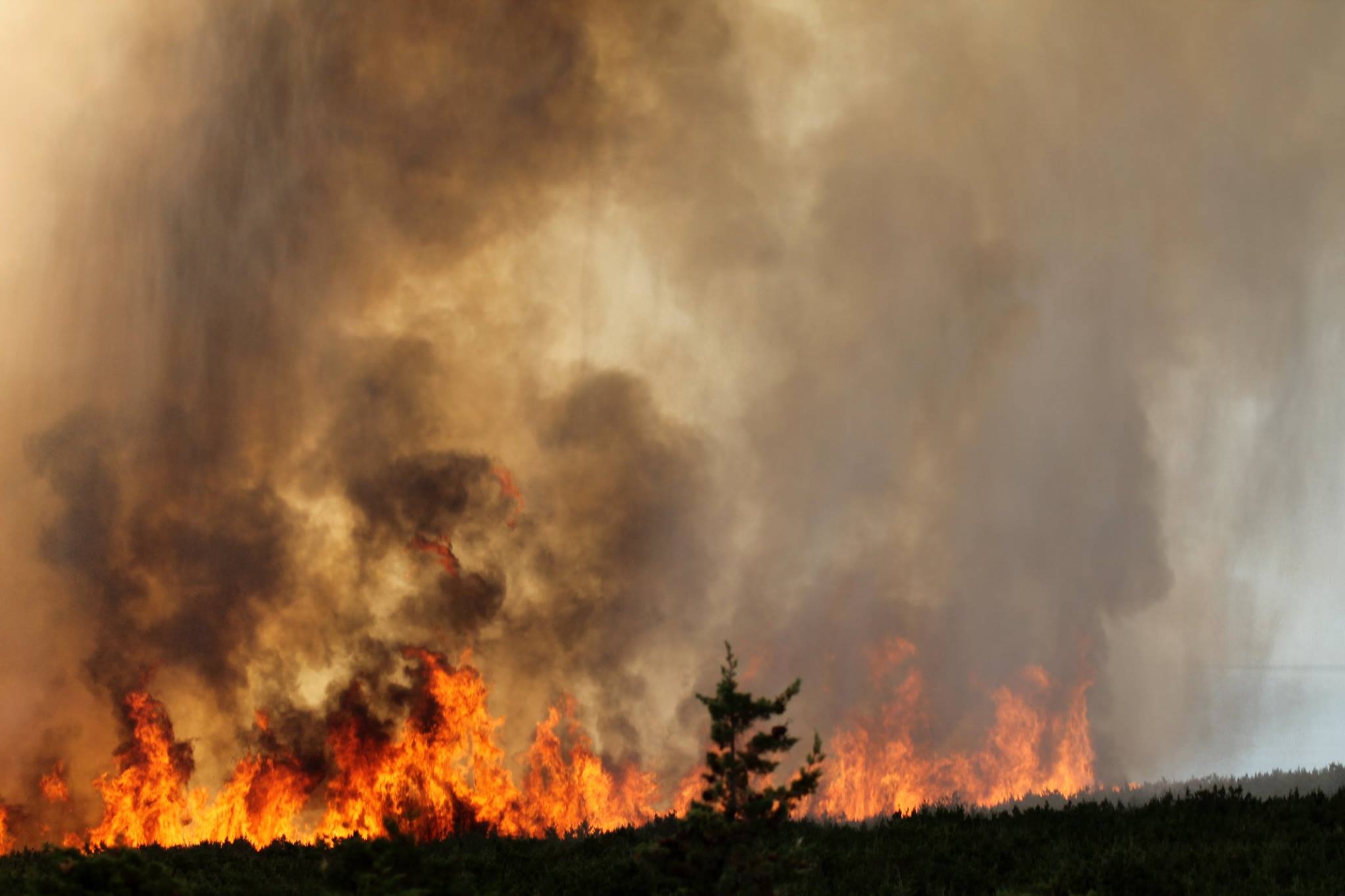 Lokaliziran požar kod Košljuna na otoku Pagu Lokaliziran požar kod Košljuna na otoku Pagu
