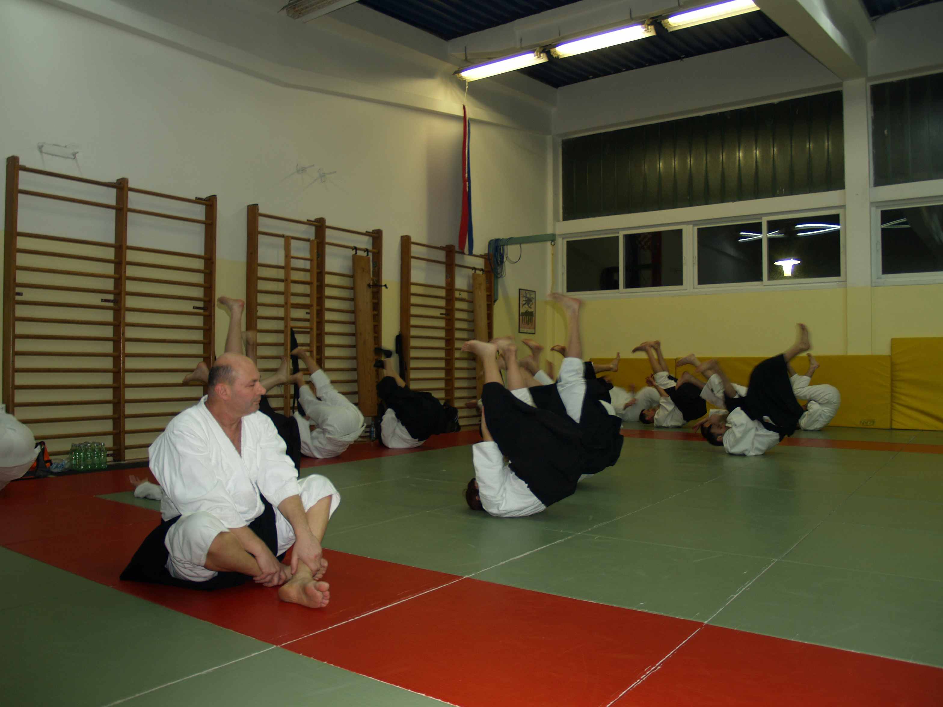 Aikido, seminar Alesa Leskovseka u AK Donat
