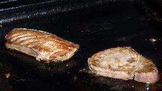 Kualjska tunuara 2010, Foto: Vedran Penga