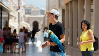 Đir po gradu, srijeda 19. lipnja 2019. Đir po gradu, srijeda 19. lipnja 2019.