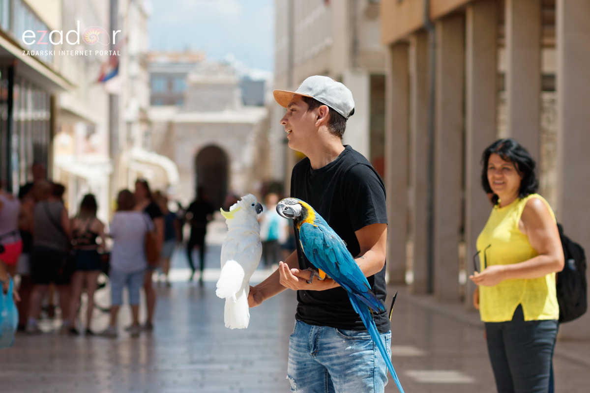 Đir po gradu, srijeda 19. lipnja 2019. Đir po gradu, srijeda 19. lipnja 2019.