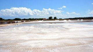 Nin – Povijesni gradic Nin pokraj Zadra za svoju prepoznatljivost ima nadaleko poznatu i najstariju hrvatsku solanu. Pod geslom “Prica o soli…” i dan danas se sol proizvodi na tradicionalan nacin. Photo: Damir Spehar/PIXSELL Nin – Povijesni gradic Nin pokraj Zadra za svoju prepoznatljivost ima nadaleko poznatu i najstariju hrvatsku solanu. Pod geslom “Prica o soli…” i dan danas se sol proizvodi na tradicionalan nacin. Photo: Damir Spehar/PIXSELL