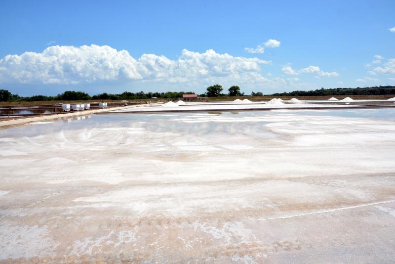 Nin – Povijesni gradic Nin pokraj Zadra za svoju prepoznatljivost ima nadaleko poznatu i najstariju hrvatsku solanu. Pod geslom “Prica o soli…” i dan danas se sol proizvodi na tradicionalan nacin. Photo: Damir Spehar/PIXSELL Nin – Povijesni gradic Nin pokraj Zadra za svoju prepoznatljivost ima nadaleko poznatu i najstariju hrvatsku solanu. Pod geslom “Prica o soli…” i dan danas se sol proizvodi na tradicionalan nacin. Photo: Damir Spehar/PIXSELL