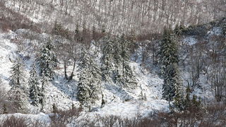 Đir do vrha Zečjak na sjevernom Velebitu, Foto: Leo Banić
