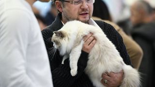 Međunarodna izložba mačaka