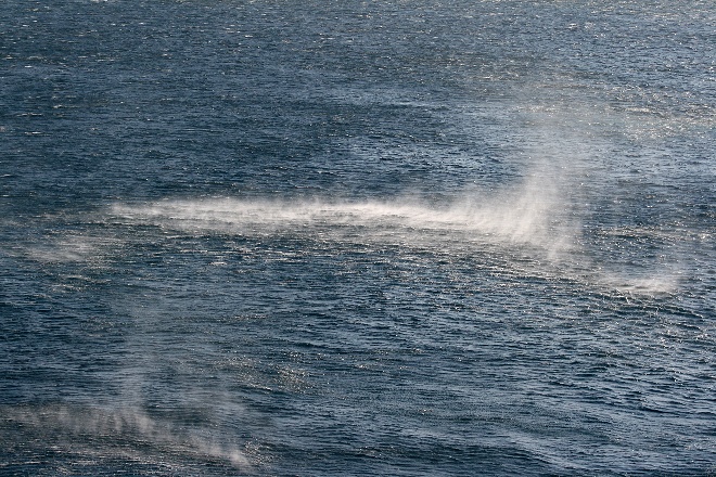 Image 1177849 (auto)