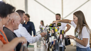 U Bedenici svečano otvoren prvi Eco-Wine Fest uz koncerte Vatre i Soul Fingersa