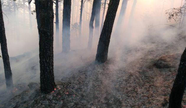 Izgorena šuma na Mosoru