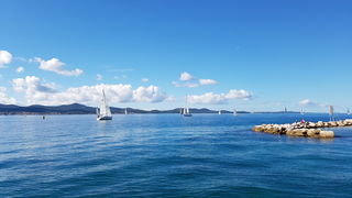 Zadarska Koka 2016. 22. listopada 2016. Foto: Mladen Malik Zadarska Koka 2016. 22. listopada 2016. Foto: Mladen Malik