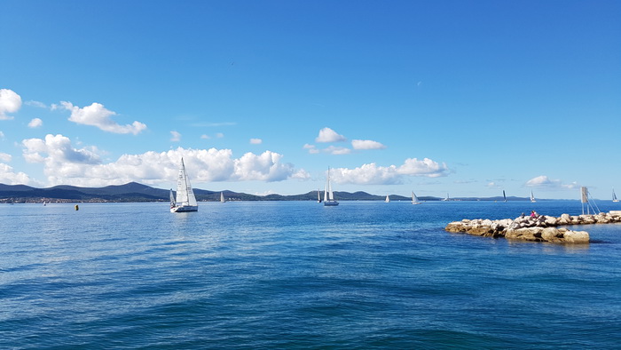 Zadarska Koka 2016. 22. listopada 2016. Foto: Mladen Malik Zadarska Koka 2016. 22. listopada 2016. Foto: Mladen Malik