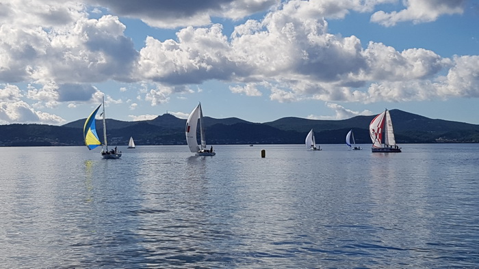 Zadarska Koka 2016. 22. listopada 2016. Foto: Mladen Malik Zadarska Koka 2016. 22. listopada 2016. Foto: Mladen Malik