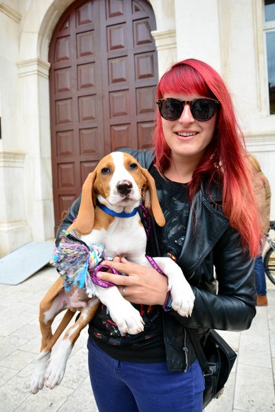 Skup podrške za NO KILL skloništa za životinje,  foto Iva Perinčić