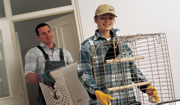 Wüstenrot stambeni krediti – odmah