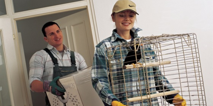 Wüstenrot stambeni krediti – odmah