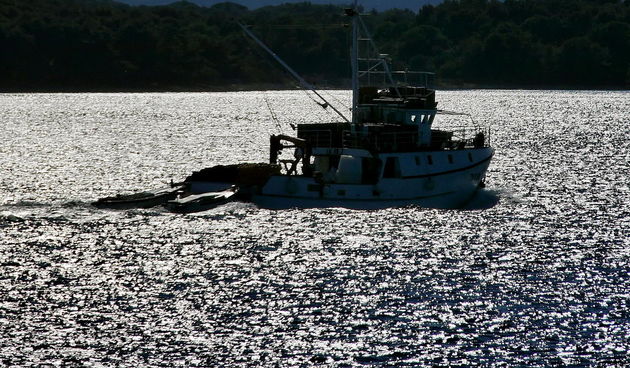 Dugi otok u objektivu Leonarda Kvarantana