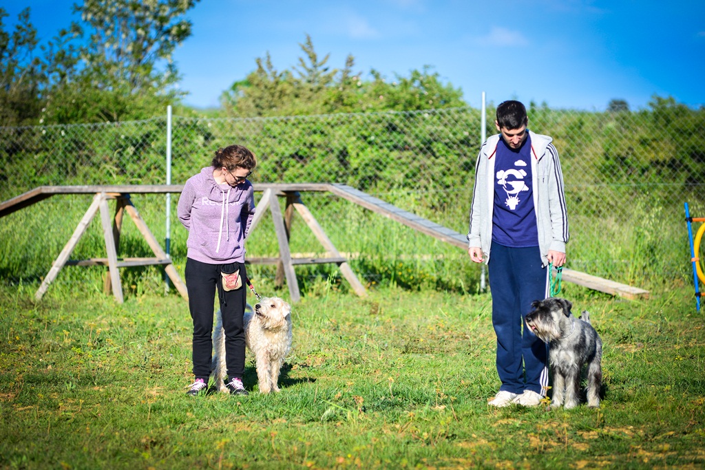 Kinološka udruga Malinois