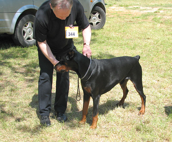 Image 1171035 (auto)