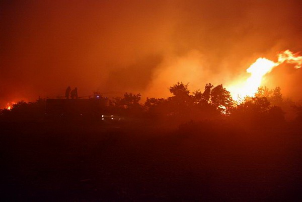 Vatrogasci gase pozar u Policima, Foto: Zdenko Knezevic