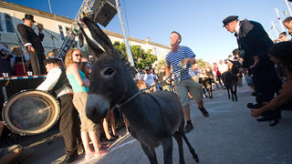 51. Saljske užance, 8. kolovoza 2010. (foto:Saša Čuka)