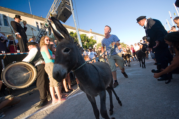 51. Saljske užance, 8. kolovoza 2010. (foto:Saša Čuka)
