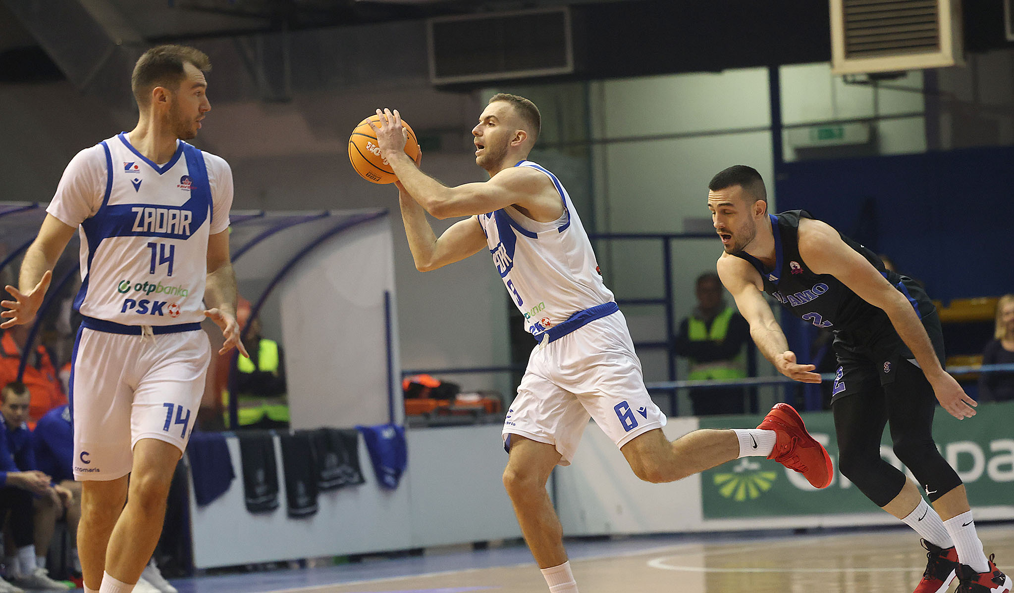 KK Zadar porazio DInamo Zagreb u 21. kolu FAVBET Premijer lige KK Zadar porazio DInamo Zagreb u 21. kolu FAVBET Premijer lige