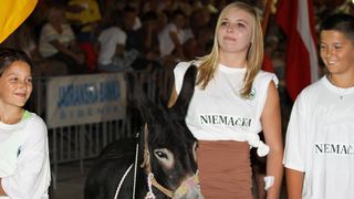 Tisno: 6. Međunarona “Trka tovarov”, Foto: Edin Kadić Tisno: 6. Međunarona “Trka tovarov”, Foto: Edin Kadić