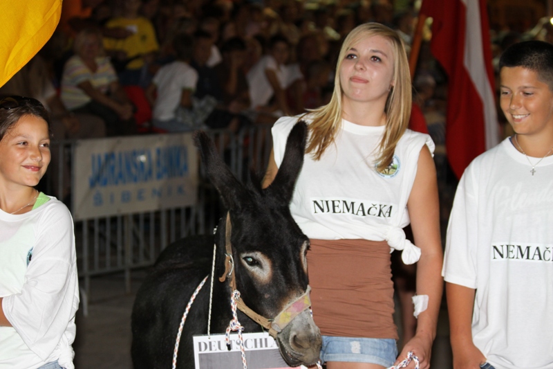 Tisno: 6. Međunarona “Trka tovarov”, Foto: Edin Kadić Tisno: 6. Međunarona “Trka tovarov”, Foto: Edin Kadić