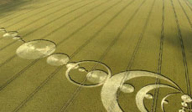 krugovi u žitu (foto: nextnature.net)