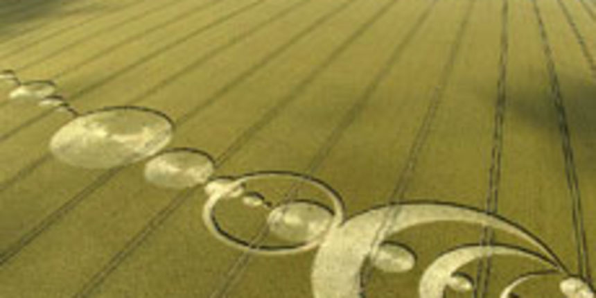krugovi u žitu (foto: nextnature.net) krugovi u žitu (foto: nextnature.net)