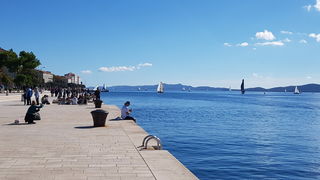 Zadarska Koka 2016. 22. listopada 2016. Foto: Mladen Malik Zadarska Koka 2016. 22. listopada 2016. Foto: Mladen Malik