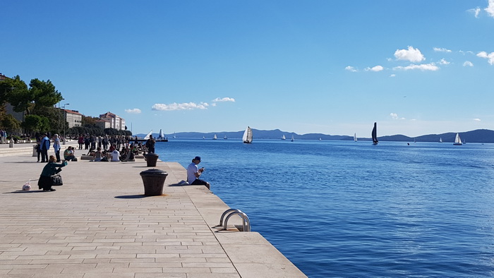 Zadarska Koka 2016. 22. listopada 2016. Foto: Mladen Malik Zadarska Koka 2016. 22. listopada 2016. Foto: Mladen Malik