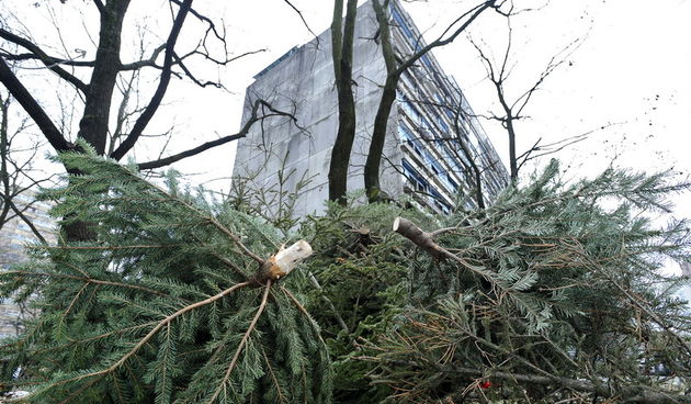 Vjekoslav Skledar / CROPIX