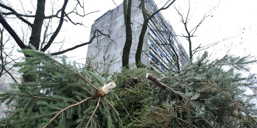 Vjekoslav Skledar / CROPIX