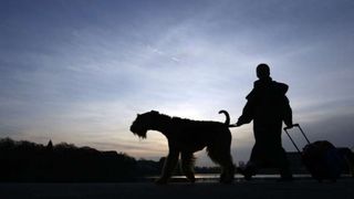 Izložba pasa Crufts 2009 u Birminghamu (Javno.hr)