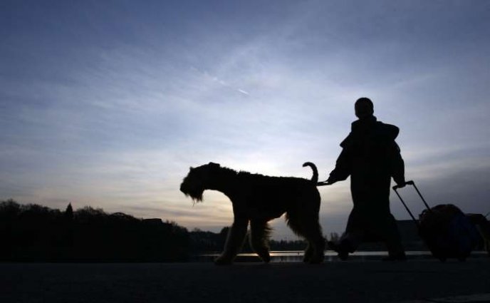 Izložba pasa Crufts 2009 u Birminghamu (Javno.hr)