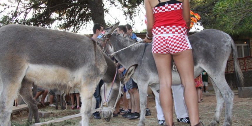 Image 1088977 (auto)