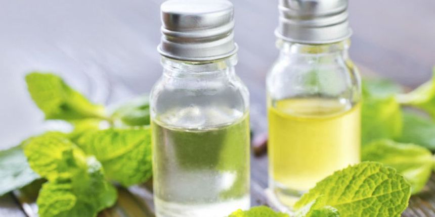 Eterično ulje, Foto: Zadovoljna.hr