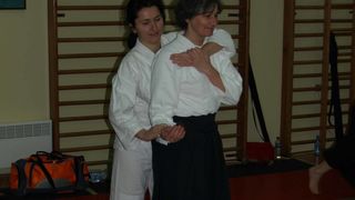 Aikido, seminar Alesa Leskovseka u AK Donat